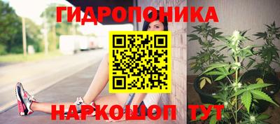 spice Гагарин
