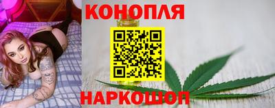 a pvp Ставрополь