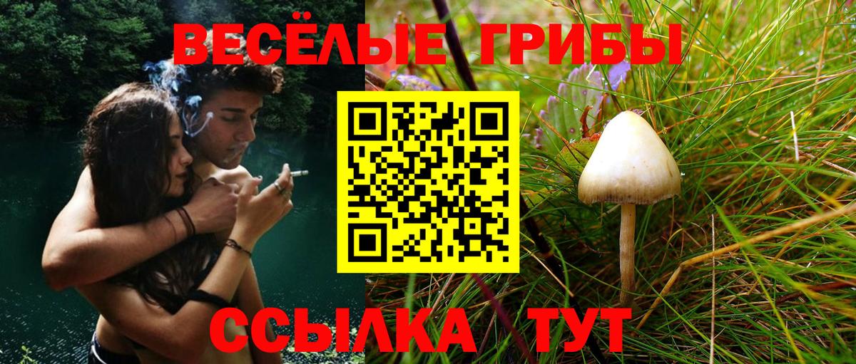 Псилоцибиновые грибы GOLDEN TEACHER Муравленко