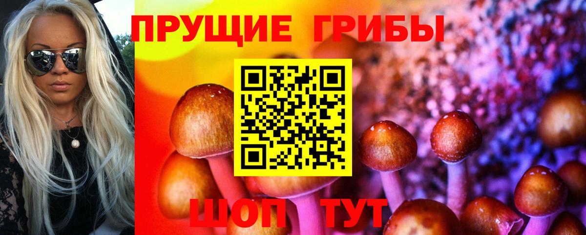 Псилоцибиновые грибы MAGIC MUSHROOMS  наркошоп  Муравленко  Вход с VPN 